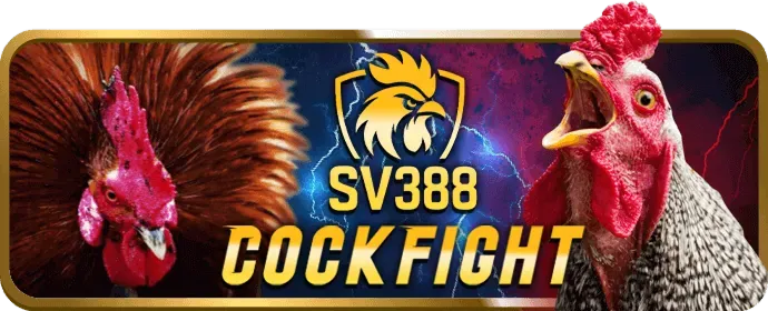 Biểu tượng hỗ trợ 24/7